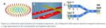 Spintronics: Researchers show how to make non-magnetic materials magnetic