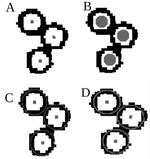 Recovering Data: NIST’s Neural Network Model Finds Small Objects in Dense Images
