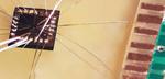 AI automatic tuning delivers step forward in Quantum computing