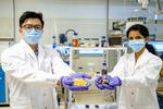 NTU Singapore scientists use fruit peel to turn old batteries into new