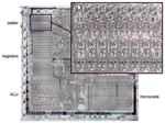 Reverse-engineering the adder inside the Intel 8086