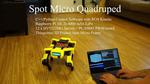 Spot Micro Quadruped Project