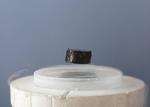 Superconductors are Super Resilient to Magnetic Fields