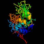 Shining a Light on Disordered and Fractal Systems
