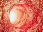 Soft robots, origami combine for potential way to deliver medical treatments