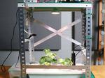 Automated Hydroponic System