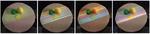 3D camera earns its stripes at Rice