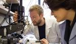 Development of Highly Compact Radar Sensors for Industry