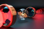 The Return of the Spin Echo