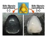 Silk fibers improve bioink for 3D-printed artificial tissues and organs