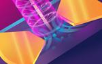Graphene detector reveals THz light’s polarization