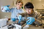 LiU researchers first to develop an organic battery
