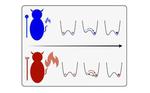 The demon is in the detail – Trinity team discovers uniquely quantum effect in erasing information