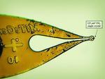 What A Crystal Reveals About Nuclear Materials Processing