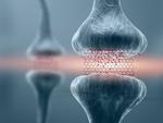 Graphene-based memory resistors show promise for brain-based computing