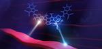 Light on efficiency loss in organic solar cells