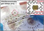 Implantable sensor could measure bodily functions — and then safely biodegrade
