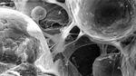 Researchers 3D-print biomedical parts with supersonic speed