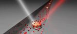 The importance of good neighbours in catalysis