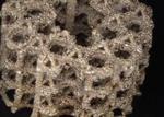 3D printed silver implants help tackle infections