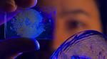 Novel glass materials made from organic and inorganic components
