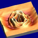 Direct visualization of quantum dots reveals shape of quantum wave function