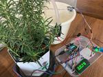 Automatic Watering System for My Plants