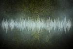 Physicists capture the sound of a “perfect” fluid