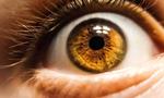 Breakthrough optical sensor mimics human eye, a key step toward better artificial intelligence