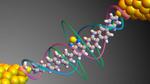 Harnessing Quantum Properties to Create Single-Molecule Devices