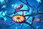 HZDR team develops component for neuromorphic computer