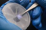 New transistor design disguises key computer chip hardware from hackers