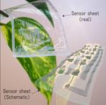 Toward imperceptible electronics that you cannot see or feel