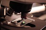 Scientists Studied the Possibilities of Controlling the Magnetic Properties of Complex Oxide Systems