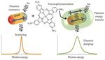 ‘Soft’ nanoparticles give plasmons new potential