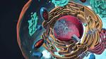 UChicago scientists pioneer new method of measuring electricity in cells
