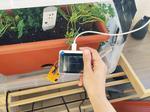 Plant translator