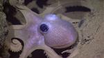 3D-Printed Smart Gel Changes Shape When Exposed to Light