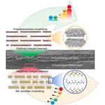 Bionic Idea Boosts Lithium-ion Extraction