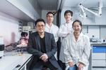 Boosting Solar Energy Conversion Efficiency