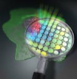 Comb of a Lifetime: A New Method for Fluorescence Microscopy