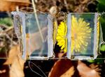On the Road to Invisible Solar Panels: How Tomorrow’s Windows Will Generate Electricity