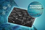 Common microbes team up to degrade polymer composites