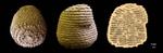 Constructing termite turrets without a blueprint