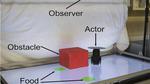 Robot Displays a Glimmer of Empathy to a Partner Robot