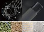 There’s a new spider in town: advancing the field of robotics with ionic spiderwebs