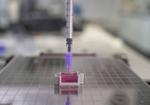 Scientists use novel ink to 3D-print ‘bone’ with living cells