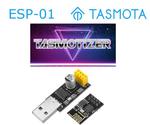 Easy ESP-01 Tasmota Programming