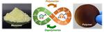 Molecule from nature provides fully recyclable polymers