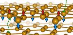 ‘Magnetic graphene’ forms a new kind of magnetism